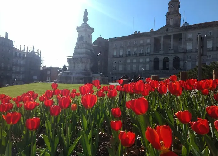 Merc Santa Catarina * פורטו